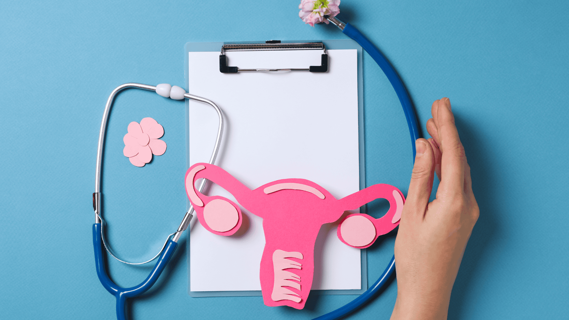 Women's Health Center Chicago Loop | Gynecology Services - MPMA